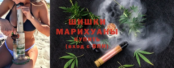 шишки Верея